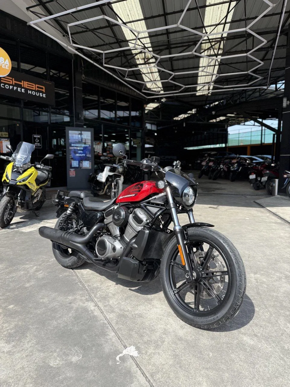 Harley-Davidson Nightster, 2024